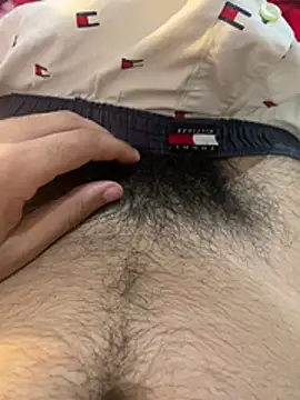 Show Webcam de LaminarAerosol