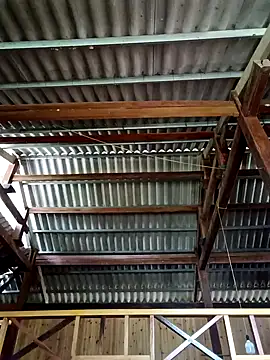 Mptrangp Obrolan Langsung XXX