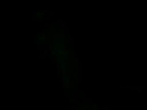 Chat +18 de cabecaoegreluda ao vivo