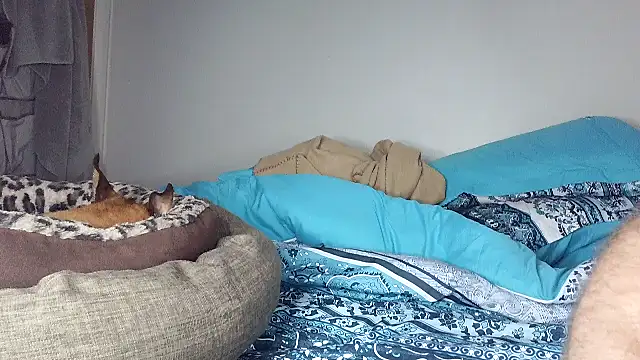 FrankieFuckMeのウェブカメラショー