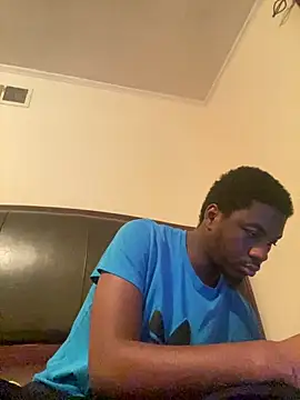 Show webcam de ThickDic28