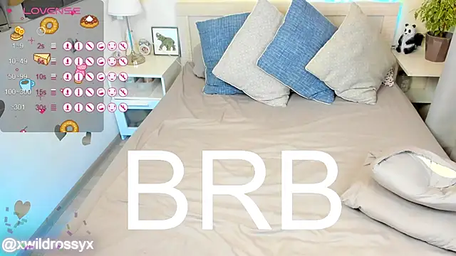 Chat XXX en directo de wildrossy