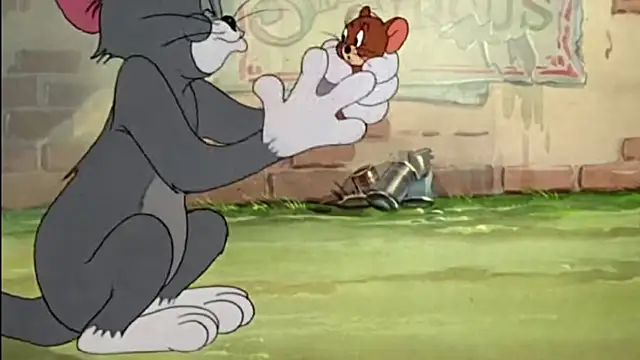 عرض كام Wily-07