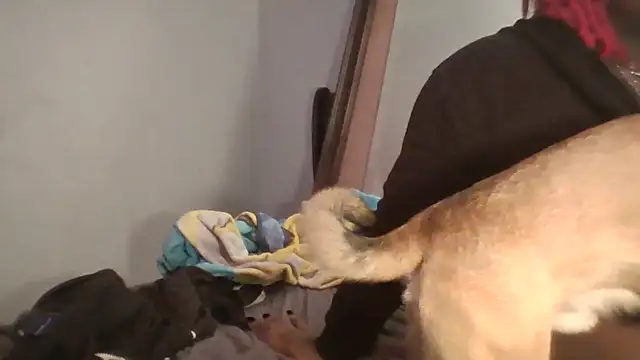 Dusaa_ লাইভ XXX চ্যাট