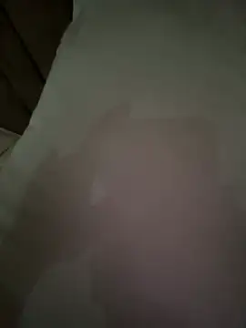 dalou3a22 Webcam show