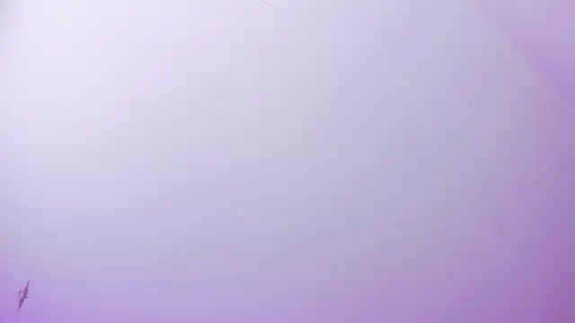 AishaNoor – Live XXX-chat