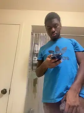 ThickDic28 Webcam show