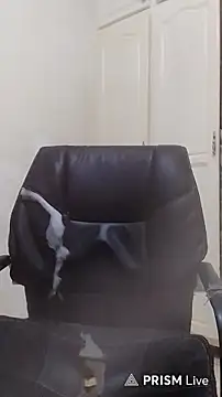 Arabprinceofslv 라이브 XXX 채팅