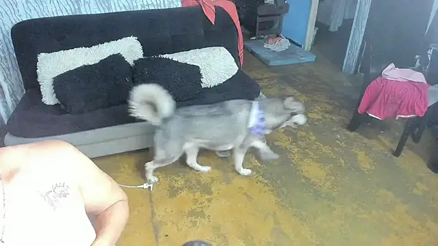 Živý XXX chat valentinaextreme