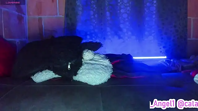 Chatroom XXX en direct de Cata-angel