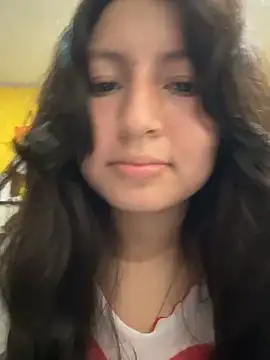 Show webcam de Noamilk