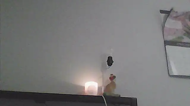 sarahkat86 লাইভ XXX চ্যাট