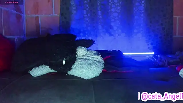 Chat XXX ao vivo de Cata-angel