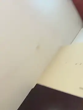 Chat XXX en directo de Renee-18