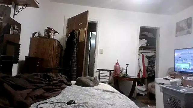 XXX chat uživo modela AcademicHuman67