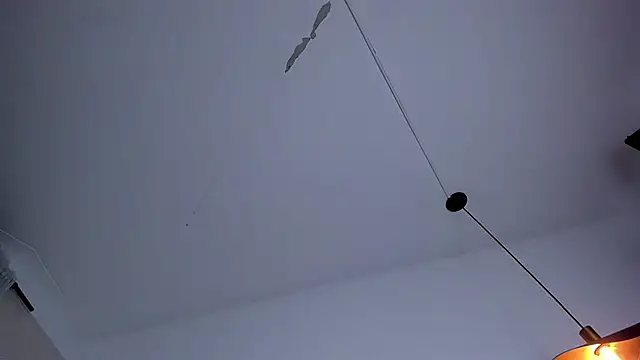 bloom_apple Webcam show