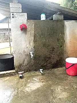 Chat XXX Live kalara_kail