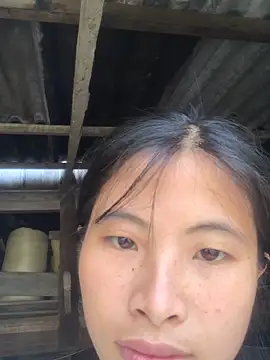 sun-shii 网络视讯表演