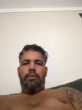 Chat +18 de adgato ao vivo