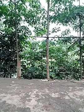 Chat XXX Live Hot_bitv