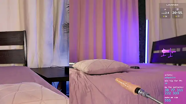 webpetiten Webbikameraesitys