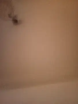 Guitccch Show in webcam