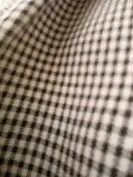 Show modela ipvk na web-kameri