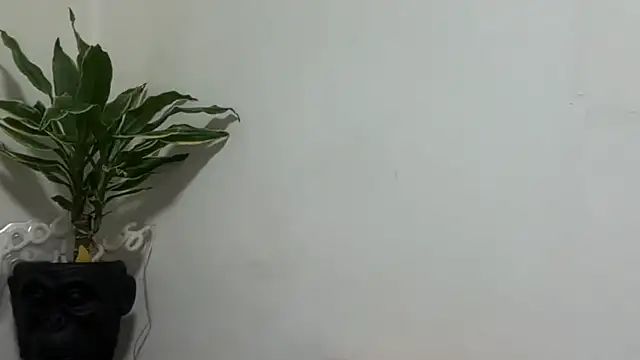 Czat XXX na żywo – karo123421