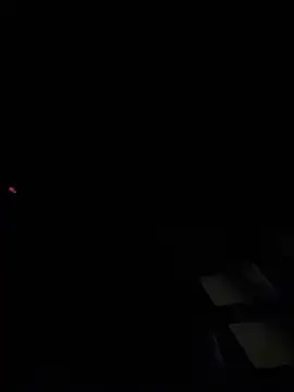 Chat XXX en directo de dingoding