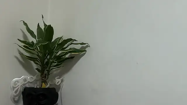 Chat XXX ao vivo de karo123421