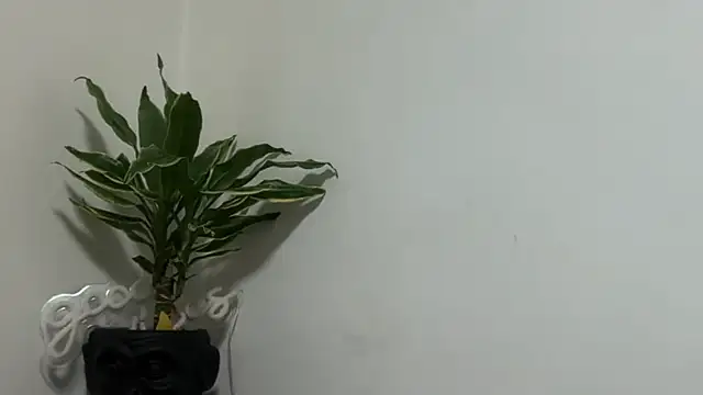 karo123421 라이브 XXX 채팅