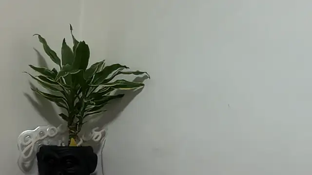 دردشة karo123421 الجنسية المباشرة