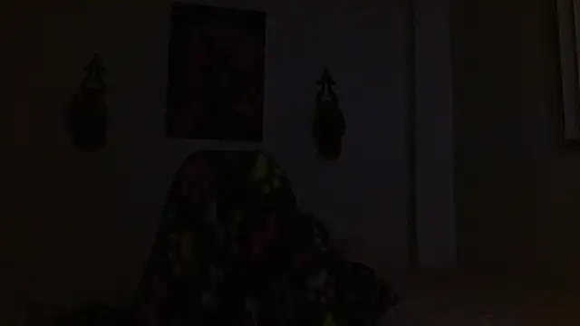 Crystal_Star_ 现场XXX聊天