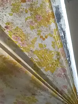 Webkamerová show Cogelonregio