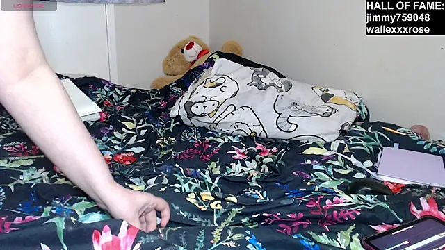 Chat +18 de sugarstock ao vivo