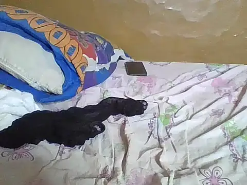 Ntombikayo Webcam show