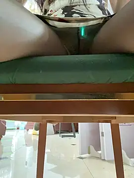 Show Webcam de petoys