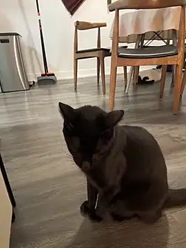 XXX chat uživo modela rileylovesyou