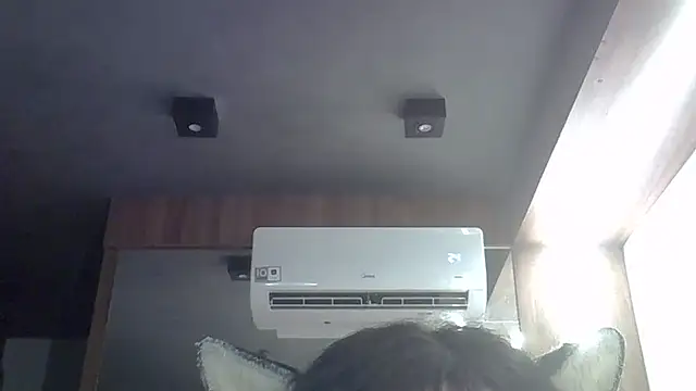 Вебкам-шоу SkinnyKitten