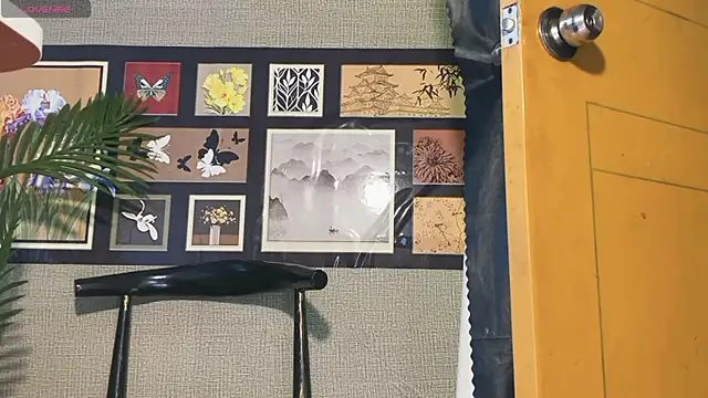 Chat +18 de xiaosu22 ao vivo