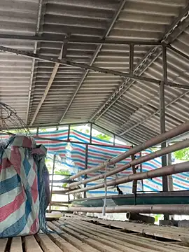 mylove-suka Pertunjukan Webcam