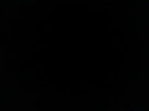 Show de plTop40 na webcam