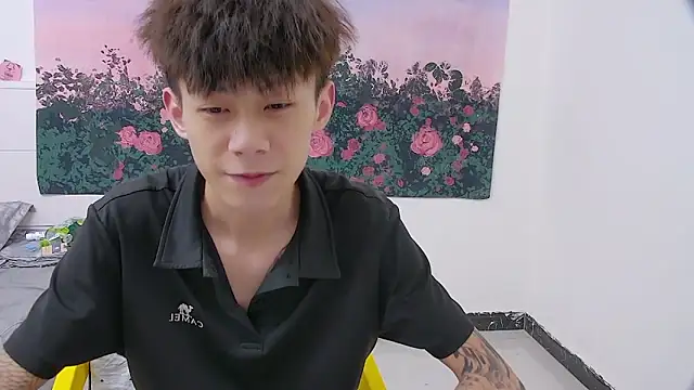 paofu-001n Webbikameraesitys