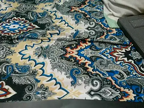 Precumboner Pertunjukan Webcam