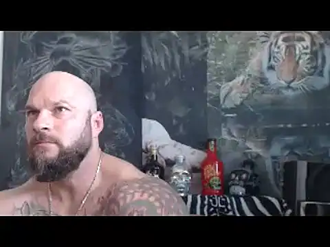 Show webcam de viking_30