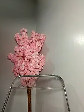 Show de kinkybeby na webcam