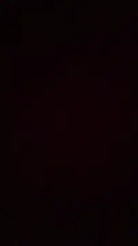 Show webcam de farsmc