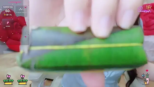 -MinaYoung-のウェブカメラショー