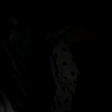 Ortiz3404 网络视讯表演