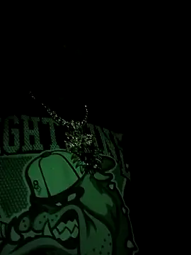 Jsexconn69: вебкам-шоу